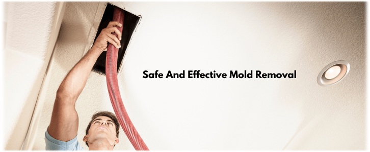 Air Duct Mold Removal in Baltimore MD