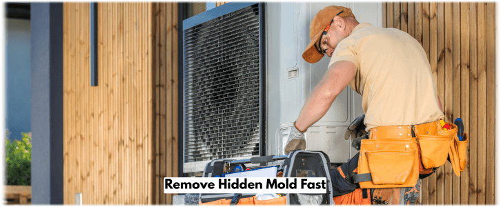 HVAC Mold Removal Baltimore MD